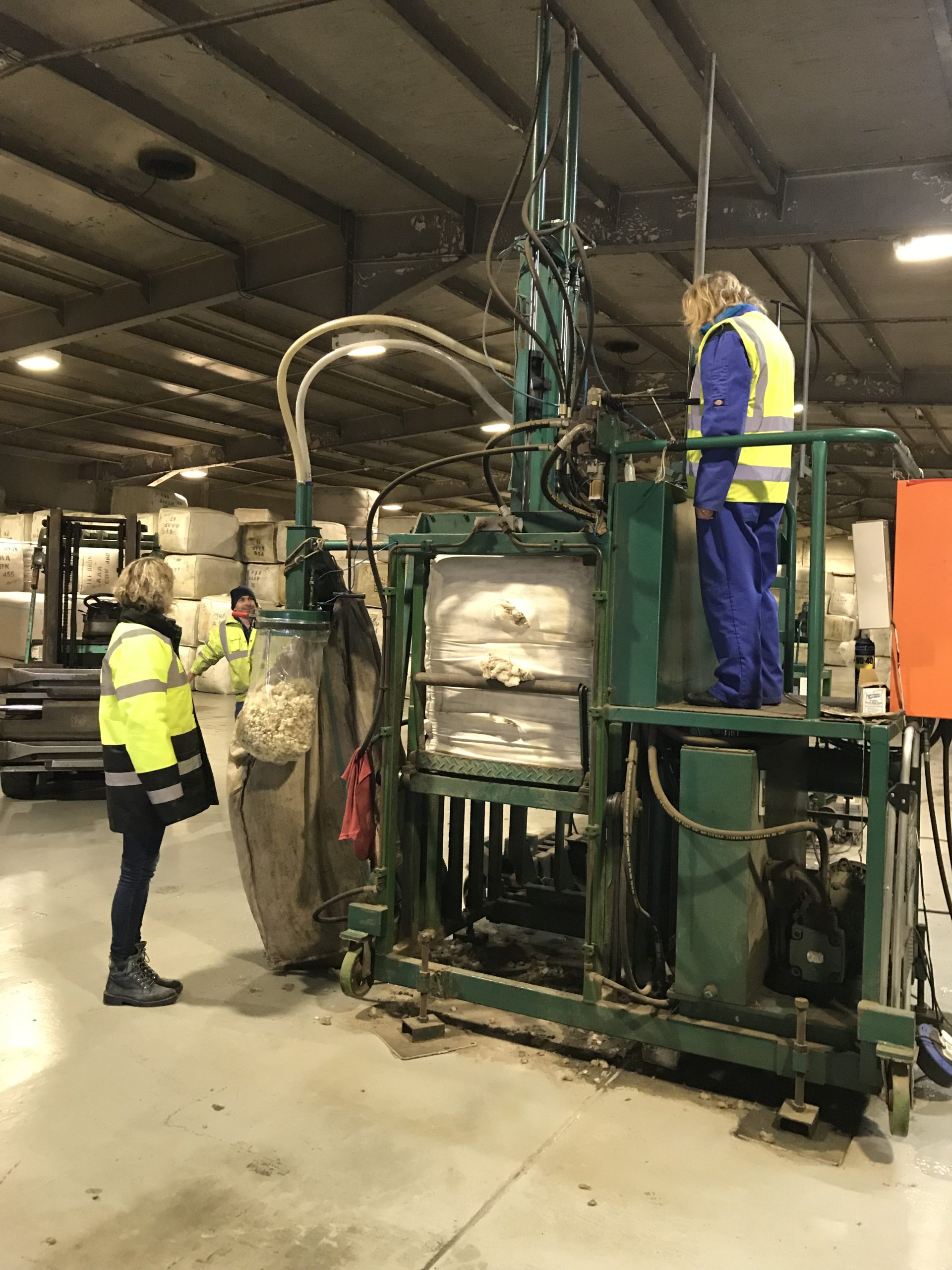 Falklands Wool Falkland Islands Wool Company